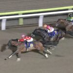 【東京盃2022】結果・動画/レッドルゼルがまとめて差し切る