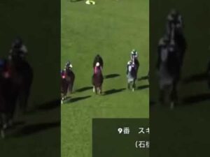 スタート直後に振り下ろされてルンルン空馬part2