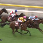 【毎日王冠2022】結果・動画/サリオスが復活のレコードV
