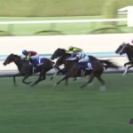 【秋華賞2022】結果・動画/スタニングローズが鮮やかに抜け出す