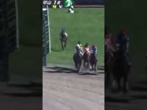 あれ？1番内の馬騎手いなくない？