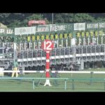 2022 SPRINTERS STAKES (G1) | JRA Official