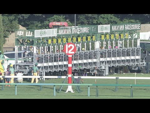 2022 SPRINTERS STAKES (G1) | JRA Official