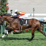 【競馬予想】[4]第83回菊花賞(GⅠ) /2022