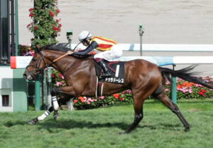 【競馬予想】[4]第83回菊花賞(GⅠ) /2022