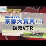 【調教動画】2022年 京都大賞典|JRA公式