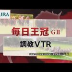 【調教動画】2022年 毎日王冠|JRA公式