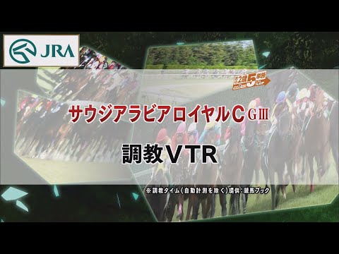 【調教動画】2022年 サウジアラビアロイヤルカップ｜JRA公式