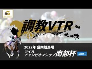 調教VTR｜2022年 マイルチャンピオンシップ南部杯 JpnI｜NAR公式