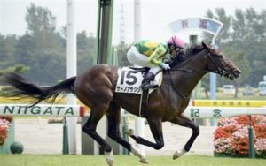 サトノアラジン産駒 オーストラリアで重賞初制覇