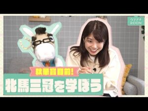 【スターズオンアース偉業達成なるか！？】三冠牝馬の熱い戦いをもう一度！競馬を始めたばかりの方も是非！