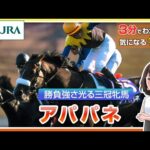 【3分でわかる】アパパネ・勝負強さ光る三冠牝馬 | JRA公式