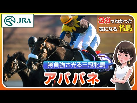 【3分でわかる】アパパネ・勝負強さ光る三冠牝馬 | JRA公式