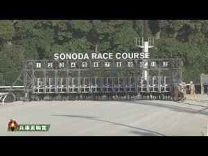 2022年 兵庫若駒賞｜JBC指定競走｜NAR公式