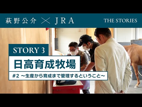 『萩野公介×JRA  THE STORIES』「STORY３ 日高育成牧場」#２ ～生産から育成まで管理するということ～ | JRA公式