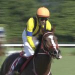 【競馬】ステイフーリッシュ引退・・矢作師「幸せな余生を」
