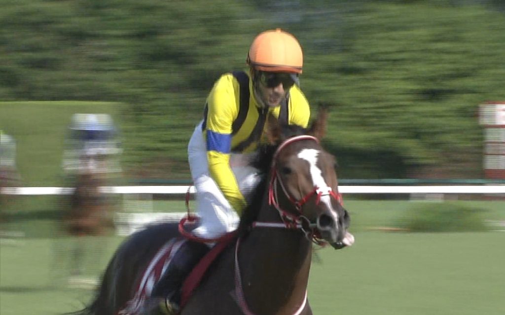 【競馬】ステイフーリッシュ引退・・矢作師「幸せな余生を」