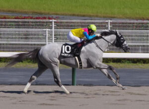 【競馬予想】第26回 シリウスステークス(GⅢ) /2022