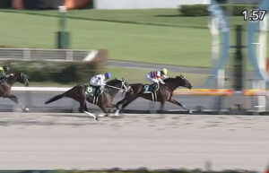 【シリウスS】3歳馬ハピ2着www