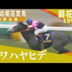 芦毛の菊花賞馬 #2【ビワハヤヒデ】1993年菊花賞 実況:杉本清