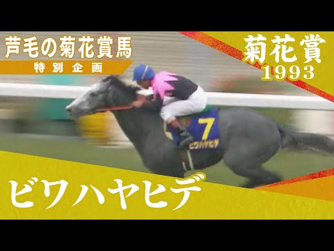 芦毛の菊花賞馬 #２【ビワハヤヒデ】1993年菊花賞　実況：杉本清