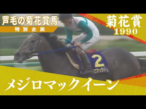 芦毛の菊花賞馬 #１【メジロマックイーン】1990年菊花賞 　実況：杉本清