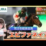 【3分でわかる】エピファネイア・荒ぶる超良血馬 | JRA公式