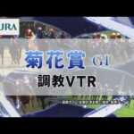 【調教動画】2022年 菊花賞|JRA公式