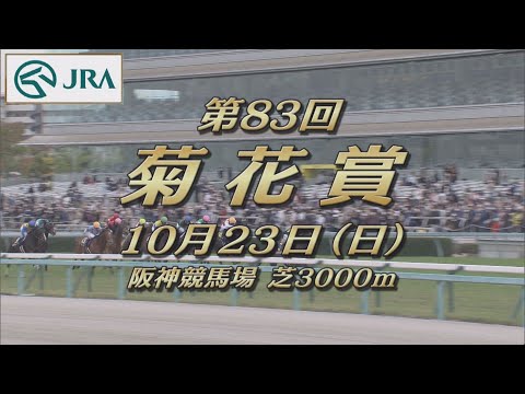 【レーシングプロファイル】2022年 菊花賞｜JRA公式