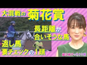 大混戦のクラシック最終戦！注目馬のチェックポイントを解説『菊花賞（GⅠ）』細江純子のネタ帳