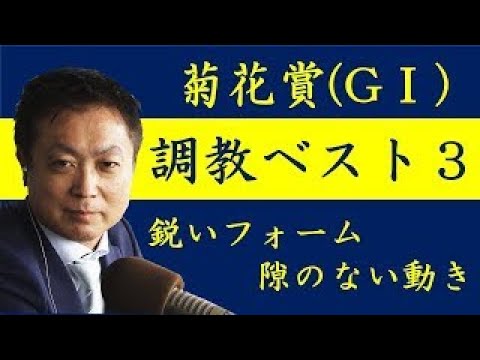 菊花賞調教ベスト3《菊花賞 調教ベスト３》調教が最も良かった馬は？競馬エイト・高橋賢司トラックマンが解説