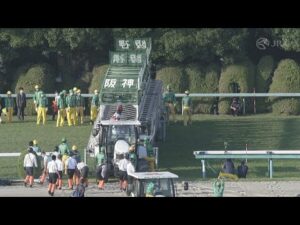2022 KIKUKA SHO (Japanese St. Leger) (G1) | JRA Official