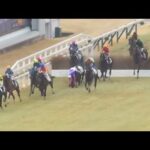 【落馬事故】危険な位置からの落馬で緊急搬送⁉️