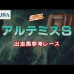 【参考レース】2022年 アルテミスステークス|JRA公式