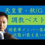 《天皇賞・秋 調教ベスト3》調教が最も良かった馬は?競馬エイト・高橋賢司トラックマンが解説
