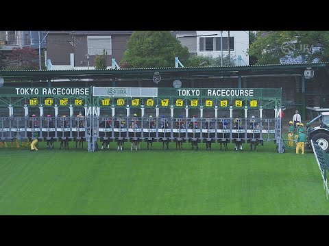 2022 Tenno Sho-Autumn (G1) | JRA Official