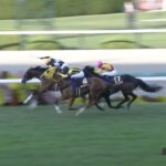 【菊花賞2022】結果・動画/アスクビクターモアがレコードタイムでG1を制す