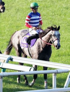 ヴェローナシチー陣営「長距離向き。菊に絶対出したかった」→12着　川田「距離が長い」