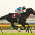 【競馬予想】[4]第166回天皇賞(秋)(GⅠ) /2022