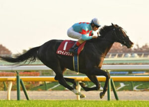 【競馬予想】[4]第166回天皇賞(秋)(GⅠ) /2022