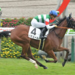 【競馬予想】[1]第27回秋華賞(GⅠ) /2022