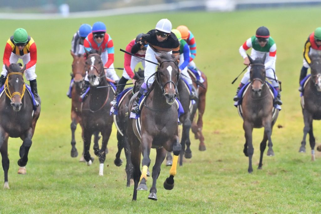 【競馬】武豊のコラム「AVを見ても何の反応もしない自分が悲しい。」www