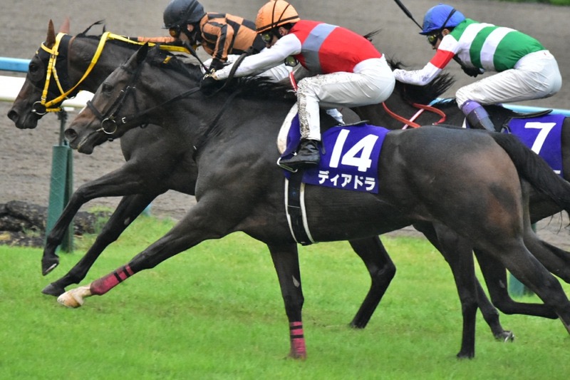 【競馬・天皇賞秋】パンサラッサ一段上がった、矢作師「行く」と逃げ宣言