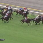 【富士ステークス2022】結果・動画/セリフォスが接戦を制す