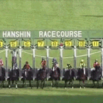 【競馬】秋華賞のパトロール見たがスタニングローズの発走直後のアタックがひどすぎる