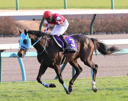 ”絶対王者”オジュウチョウサン今年の中山大障害で引退