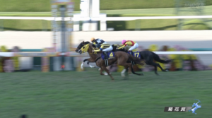 ボルドグフーシュ買えたヤツ