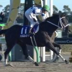 チュウワウィザード引退、種牡馬入り