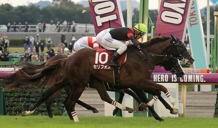 【悲報】セリフォス藤岡佑介 降板　レーンでマイルCSへ