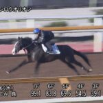 【スワンステークス2022】追い切り/追い切りが結果につながる